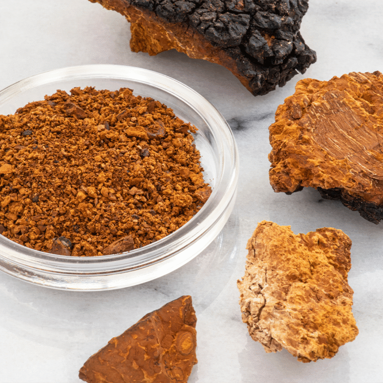 Chaga