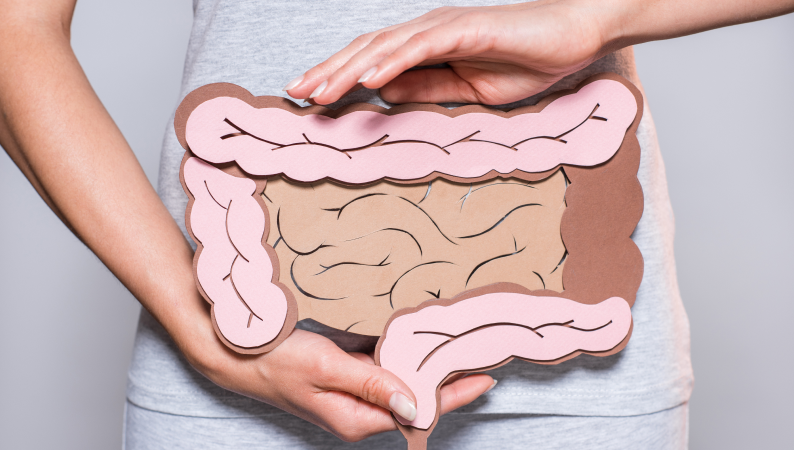 Melisa i Chaga – naturalne wsparcie trawienia i detoksu