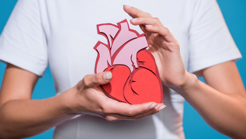 Melisa a zdrowie serca – naturalne wsparcie dla krążenia i spokoju