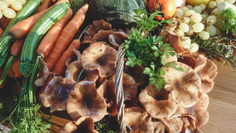Zdrowe produkty wspierające mikrobiotę jelitową - kosz grzybów, świeże warzywa, marchew, zielone ogórki, zioła i winogrona. Naturalne, ekologiczne składniki sprzyjające zdrowiu jelit.