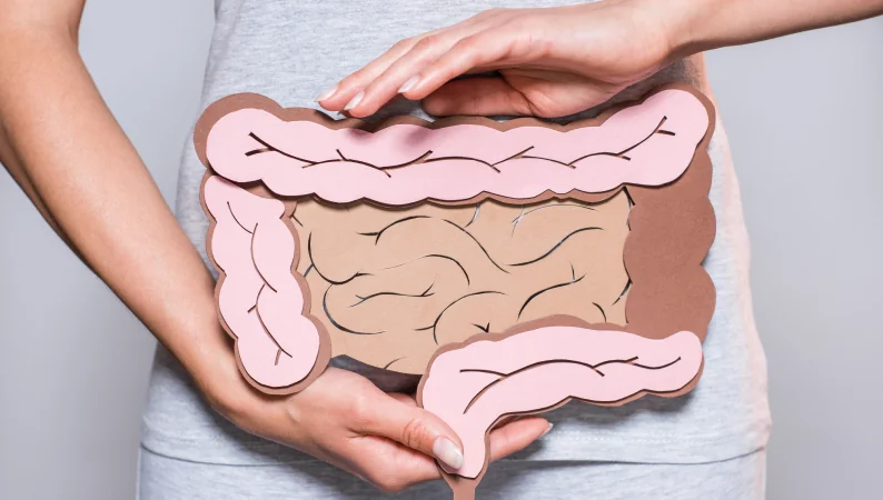 Zbliżenie na papierowy model jelit trzymany przez kobietę – edukacyjna ilustracja przedstawiająca zdrowie jelit.