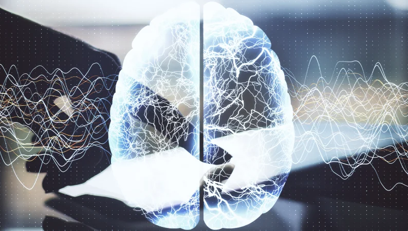 Lion’s Mane a odbudowa neuronów – wsparcie dla mózgu